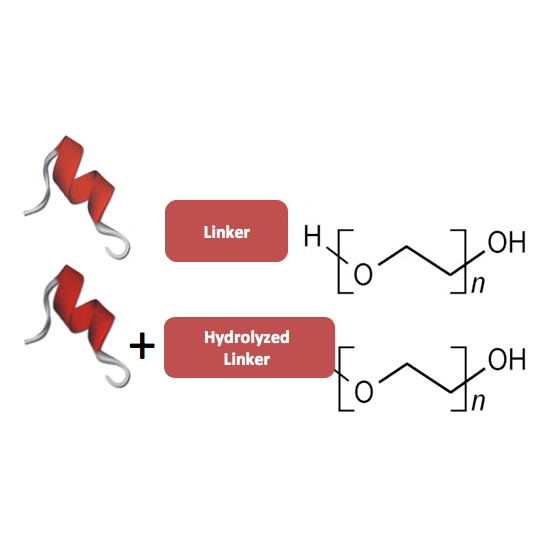 Reversible PEGylation Technology